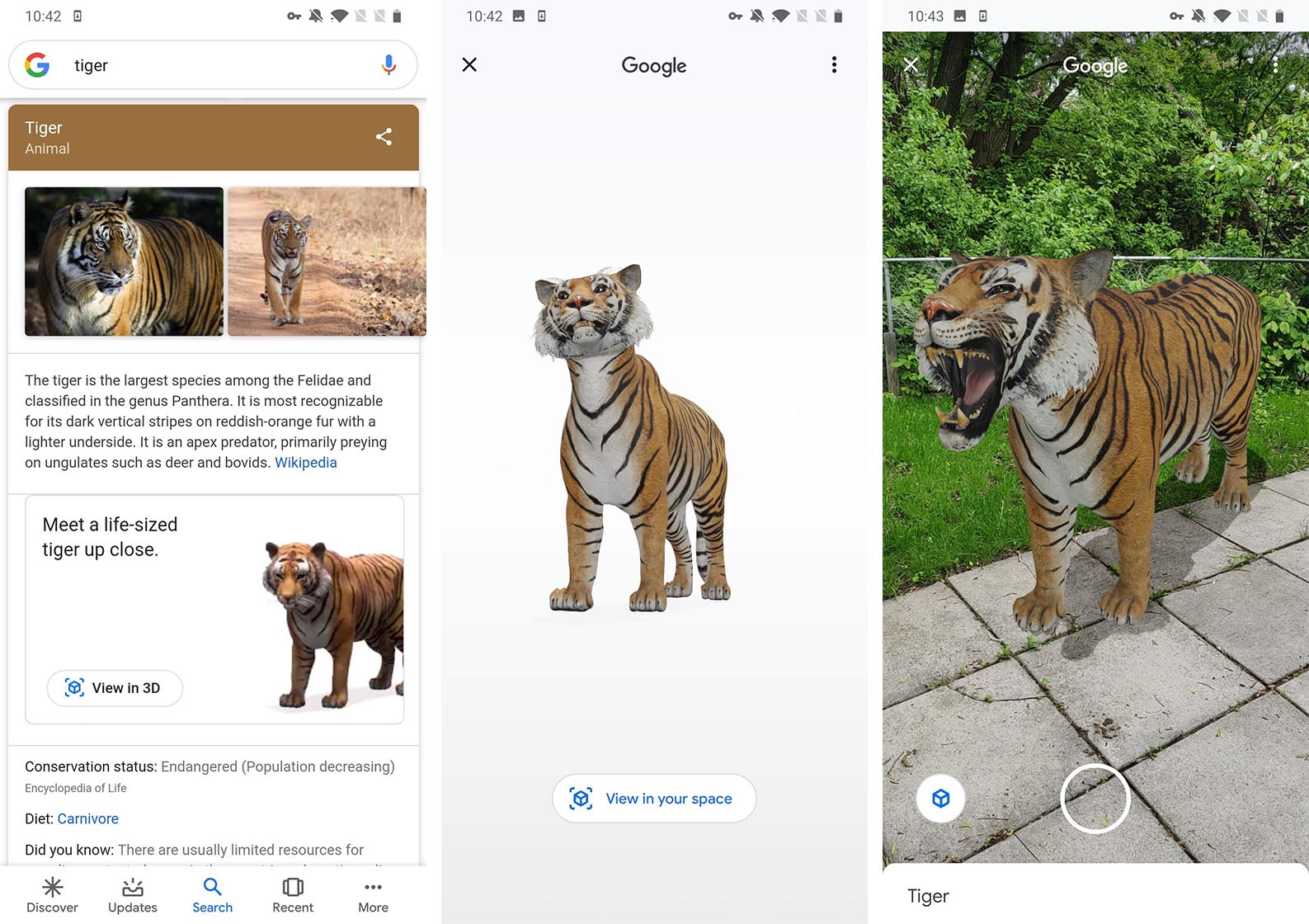 Google's AR animals lets you put a tiger in your living room | Can ...
