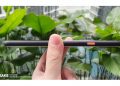 Google Pixel 4 XL size