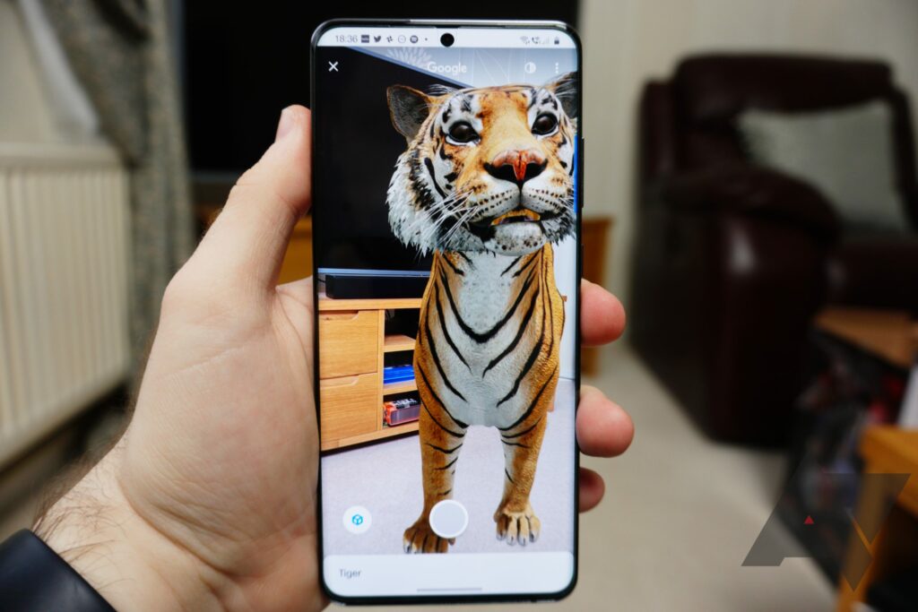 Have fun at home with Google AR AnimalS Brumpost